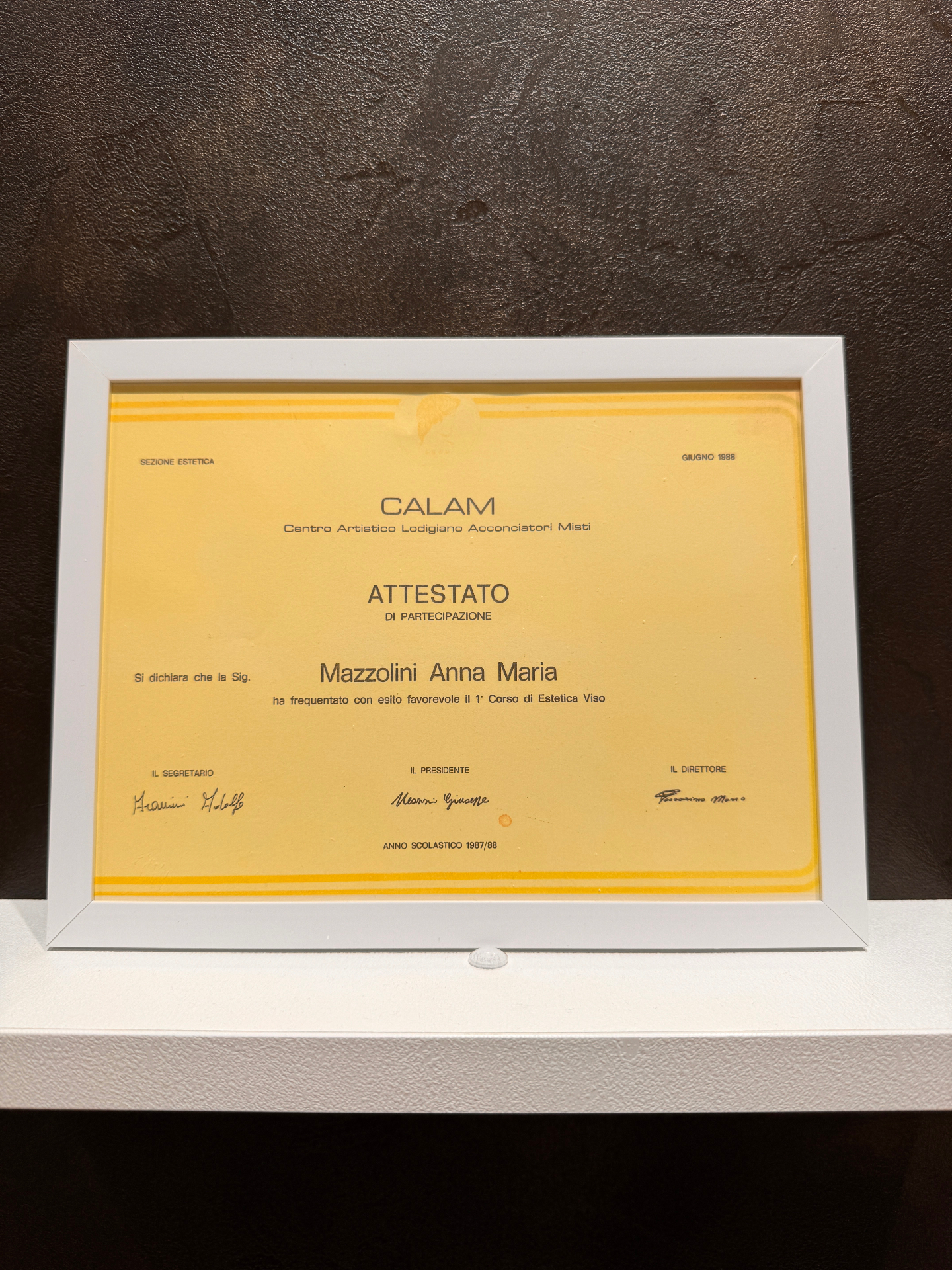 CALAM - Corso di Estetica Viso